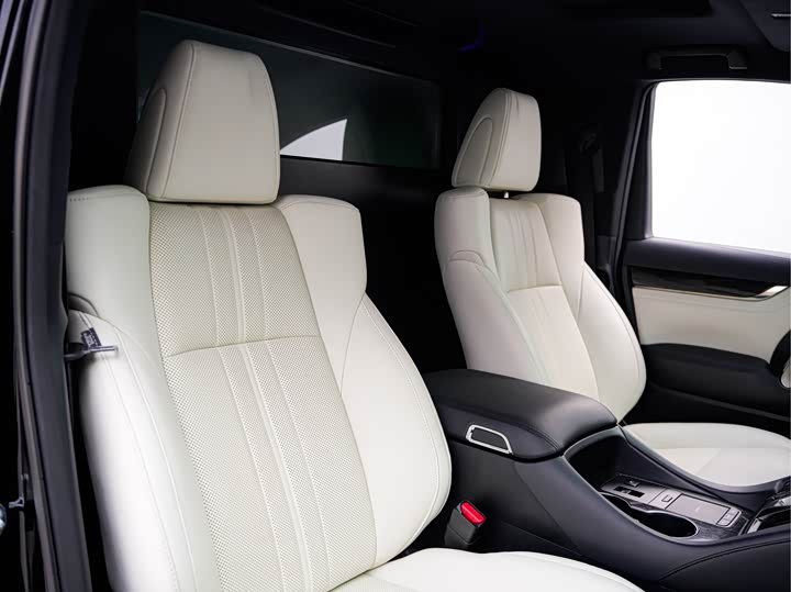 Фото 11 - Lexus LM