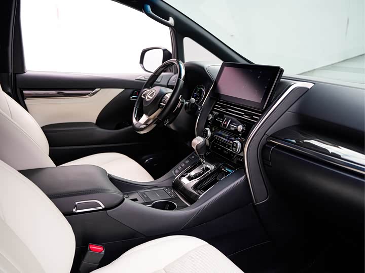 Фото 12 - Lexus LM