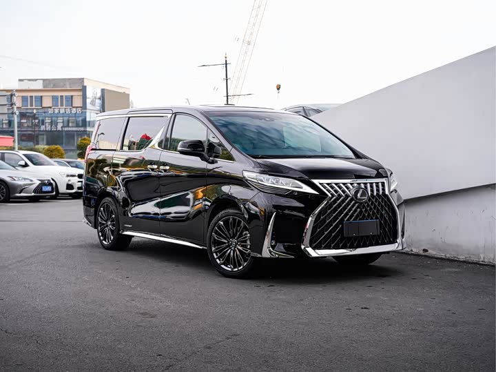 Фото 6 - Lexus LM