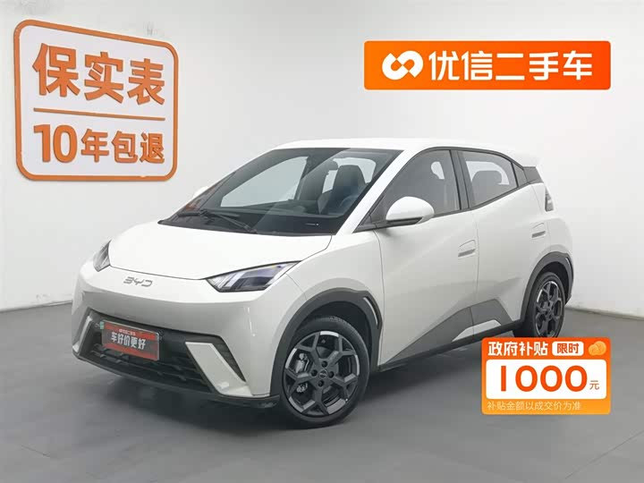 Фото 1 - BYD Seagull