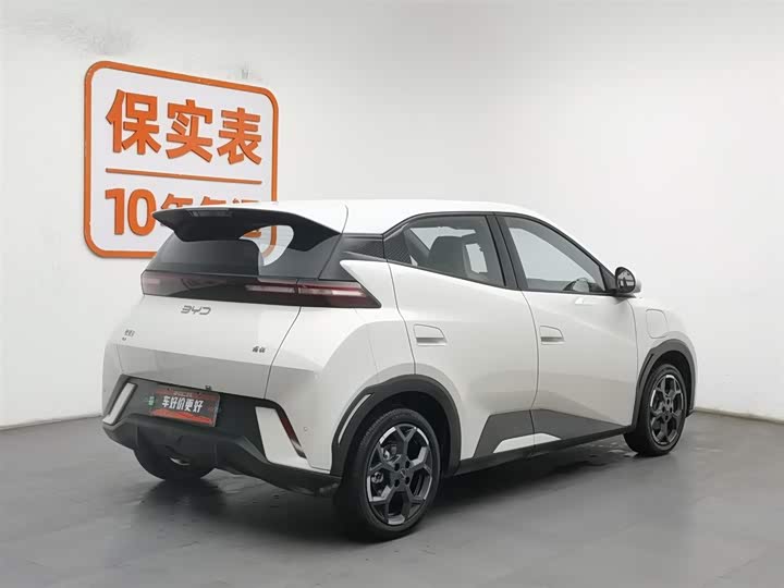 Фото 2 - BYD Seagull