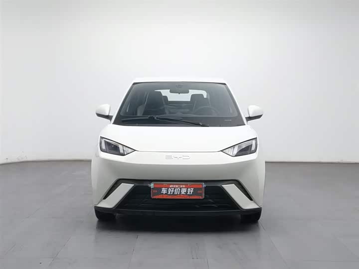 Фото 3 - BYD Seagull