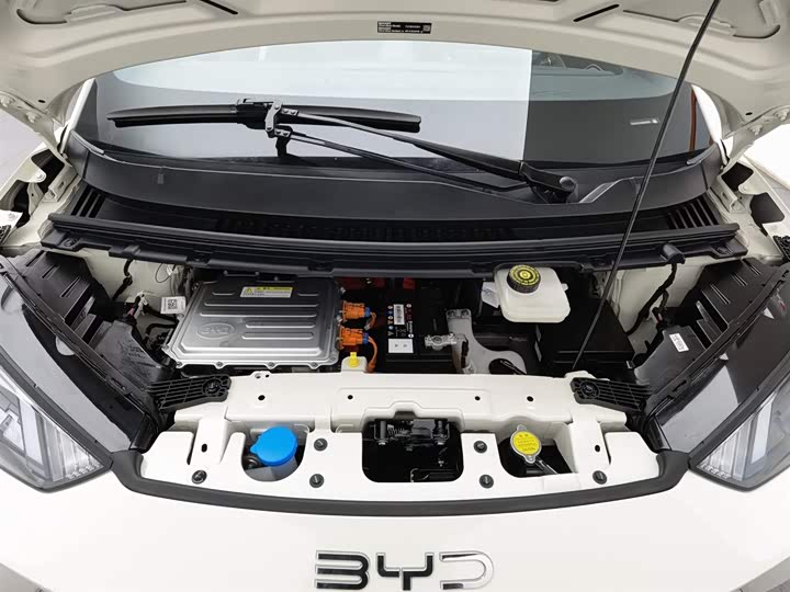 Фото 6 - BYD Seagull