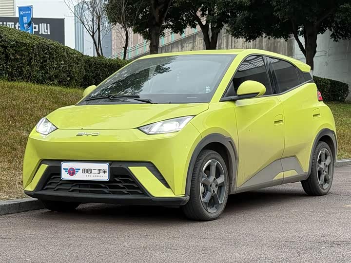 Фото 1 - BYD Seagull