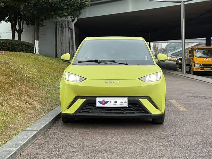 Фото 2 - BYD Seagull