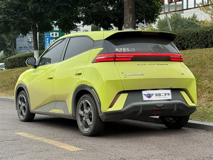 Фото 4 - BYD Seagull