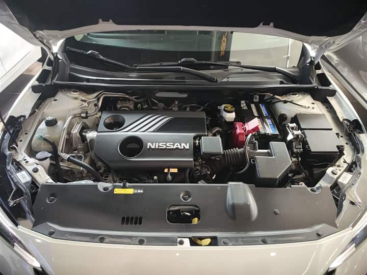 Фото 20 - Nissan Sylphy