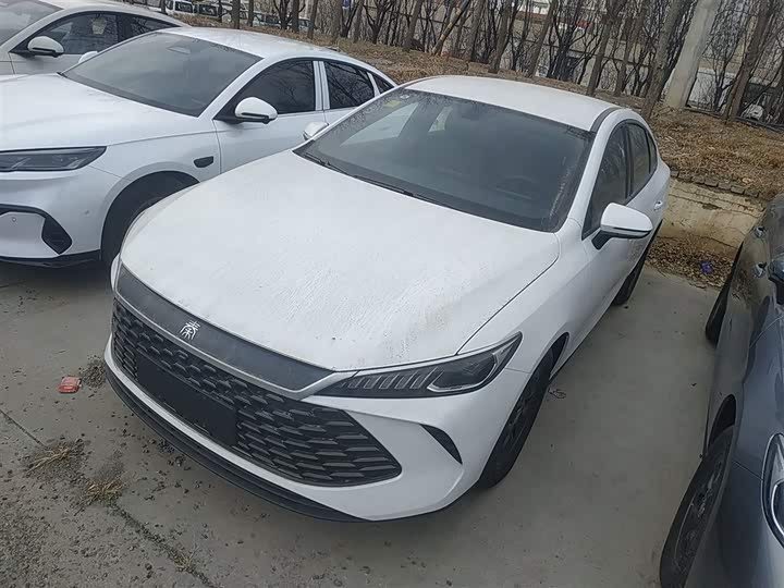 Фото 2 - BYD Qin Plus