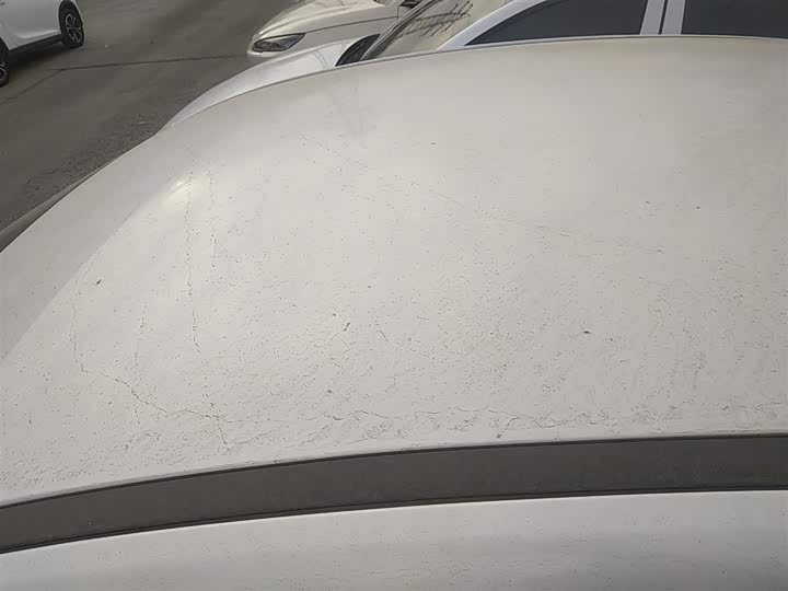 Фото 27 - BYD Qin Plus