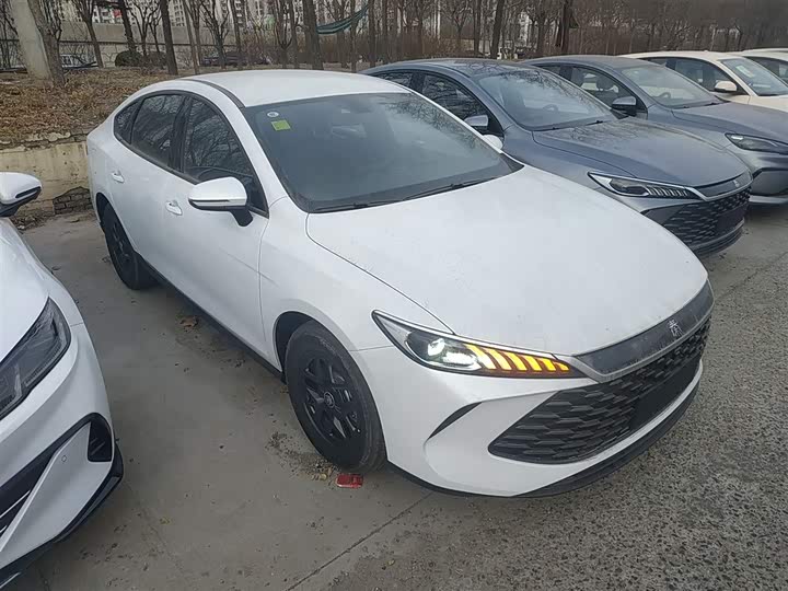 Фото 4 - BYD Qin Plus