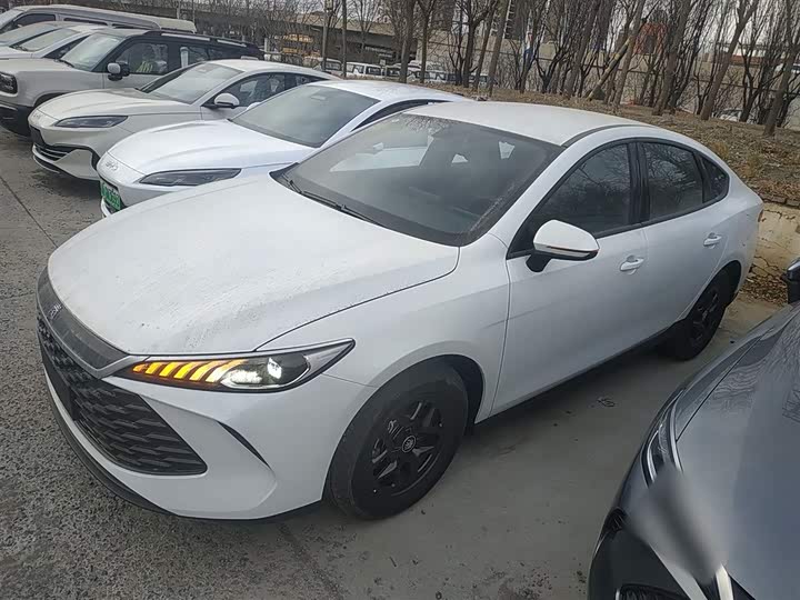 Фото 5 - BYD Qin Plus