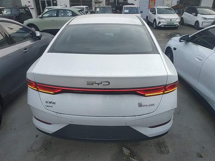 Фото 6 - BYD Qin Plus