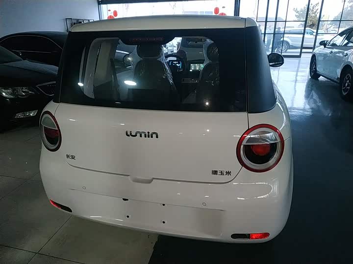 Фото 6 - Changan Qiyuan (Nevo) Lumin