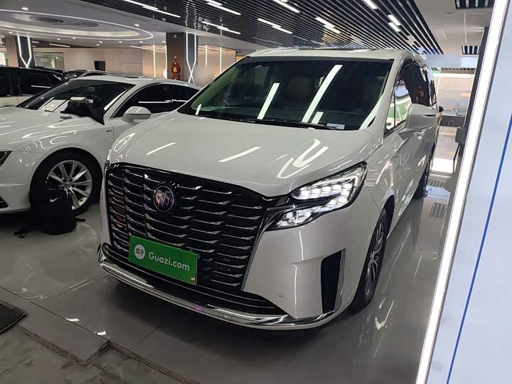 Фото 1 - Buick GL8 ES