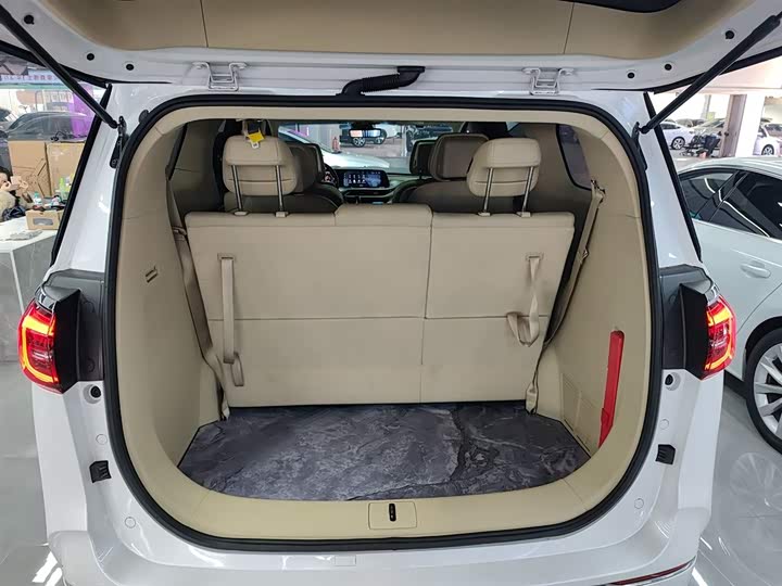 Фото 19 - Buick GL8 ES