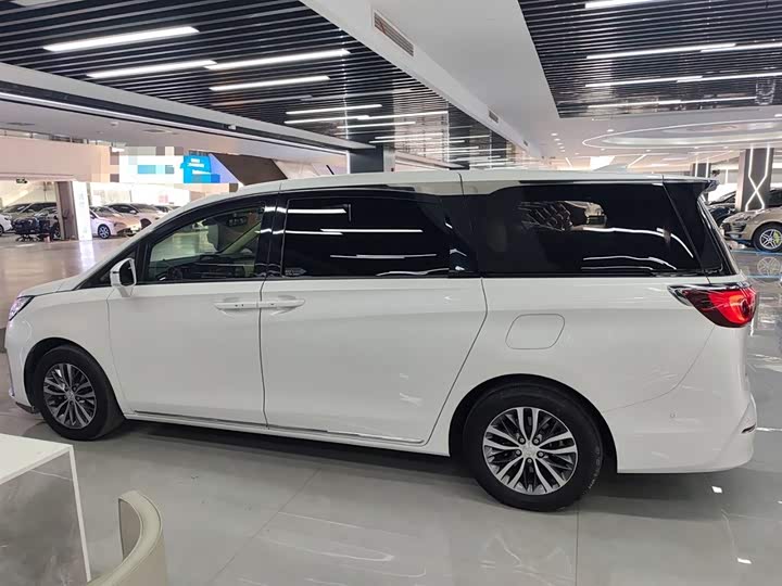 Фото 5 - Buick GL8 ES