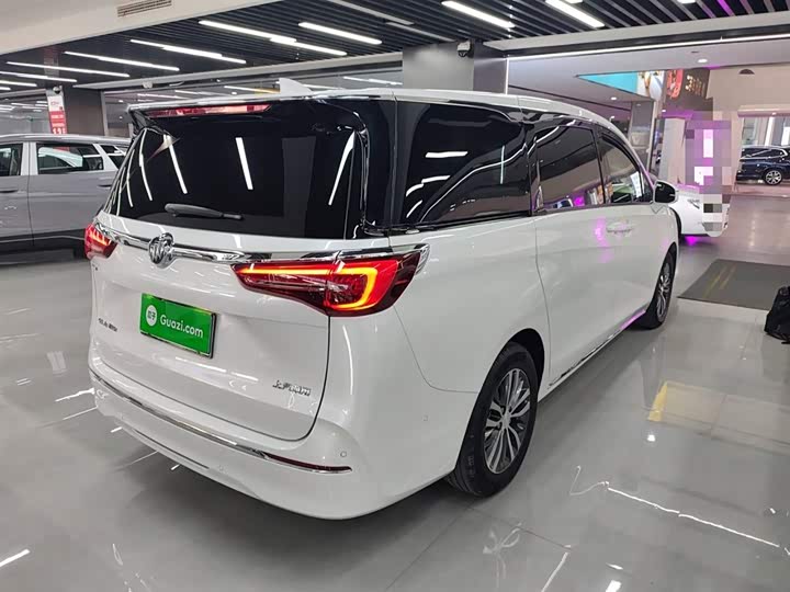 Фото 7 - Buick GL8 ES