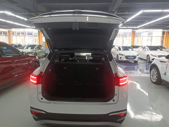 Фото 19 - Volkswagen ID.4 X