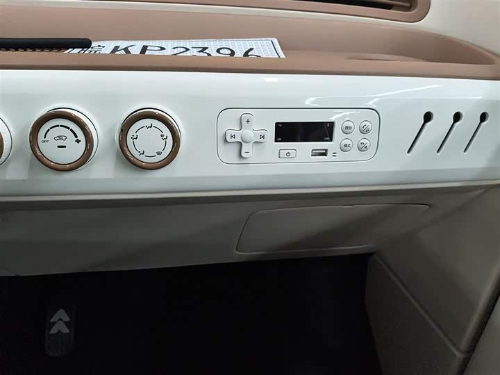 Фото 13 - Bestune Pony