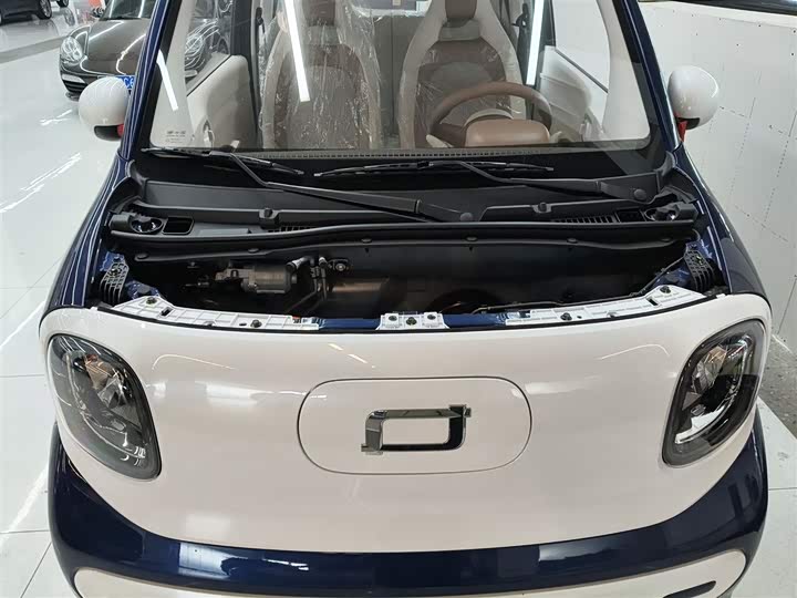 Фото 20 - Bestune Pony