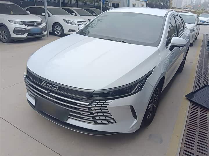 Фото 2 - BYD Destroyer 05