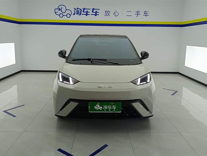 Фото 2 - BYD Seagull