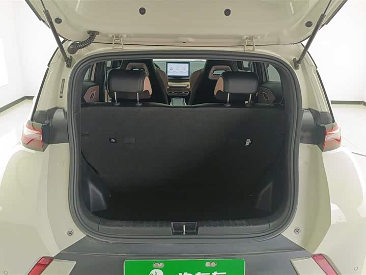 Фото 4 - BYD Seagull