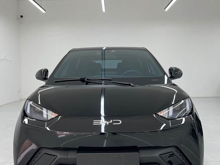 Фото 2 - BYD Seagull