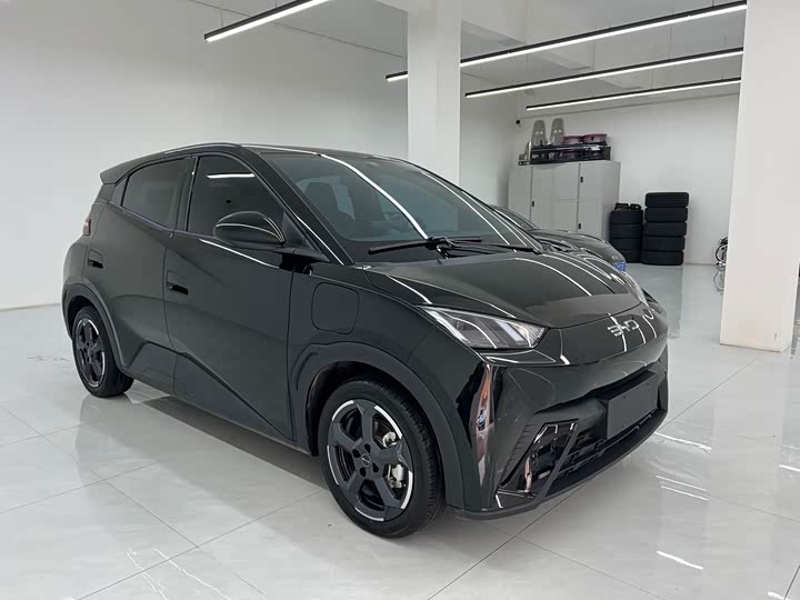 Фото 3 - BYD Seagull