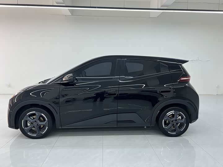 Фото 4 - BYD Seagull