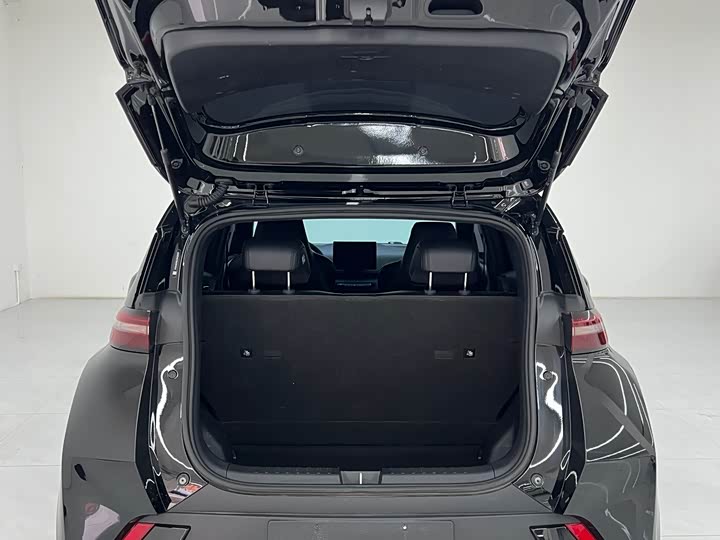 Фото 8 - BYD Seagull