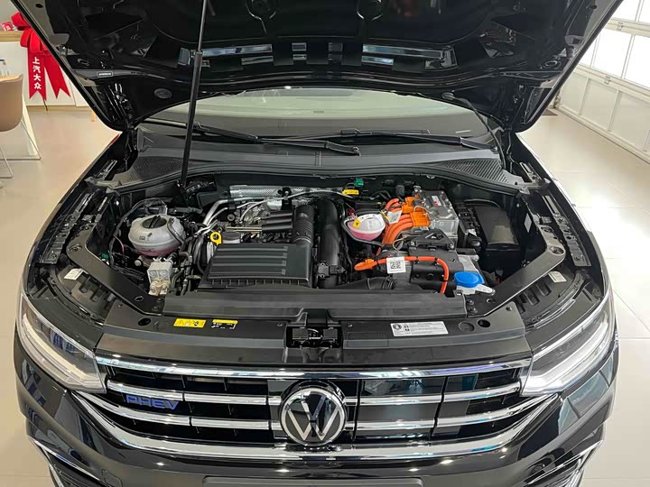 Фото 10 - Volkswagen Tiguan L Hybrid