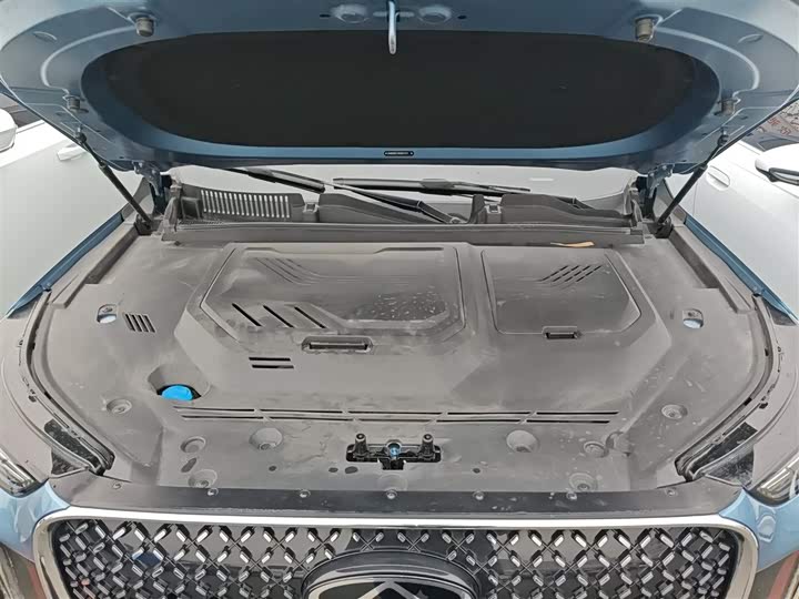 Фото 20 - Chery Tiggo 8 Plus C-DM