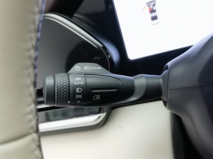 Фото 21 - Geely Monjaro