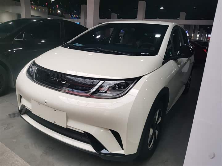 Фото 2 - BYD Dolphin