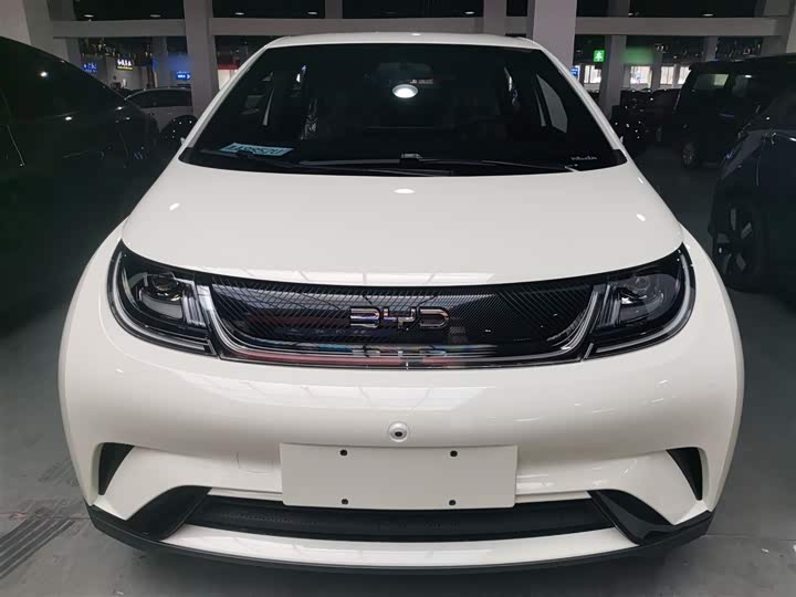 Фото 3 - BYD Dolphin