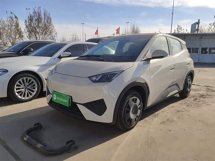 Фото 2 - BYD Seagull