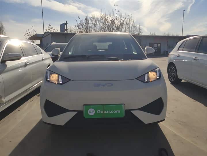 Фото 3 - BYD Seagull