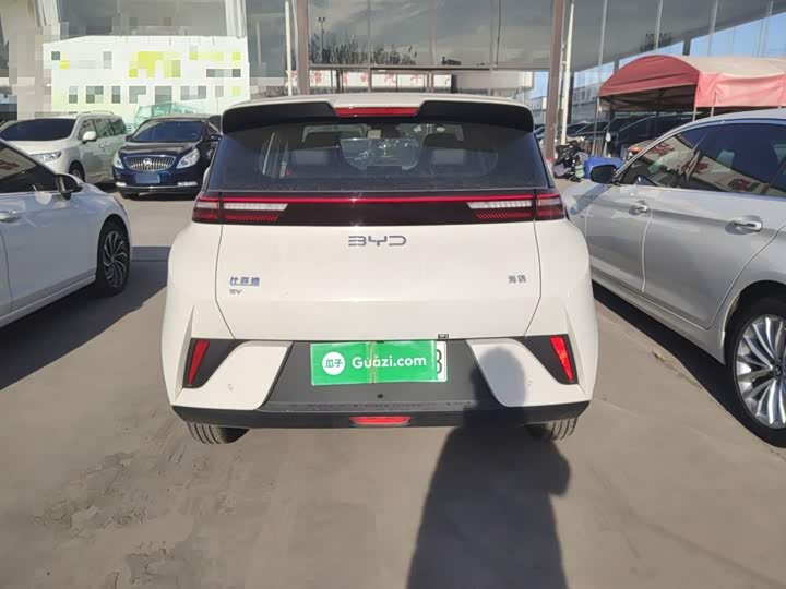 Фото 6 - BYD Seagull