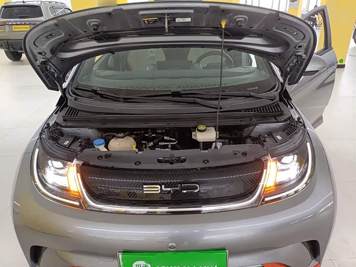 Фото 20 - BYD Dolphin