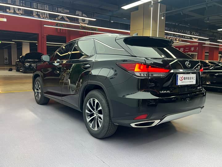 Фото 17 - Lexus RX