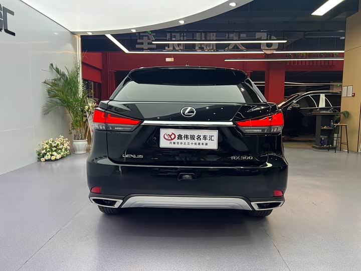 Фото 18 - Lexus RX