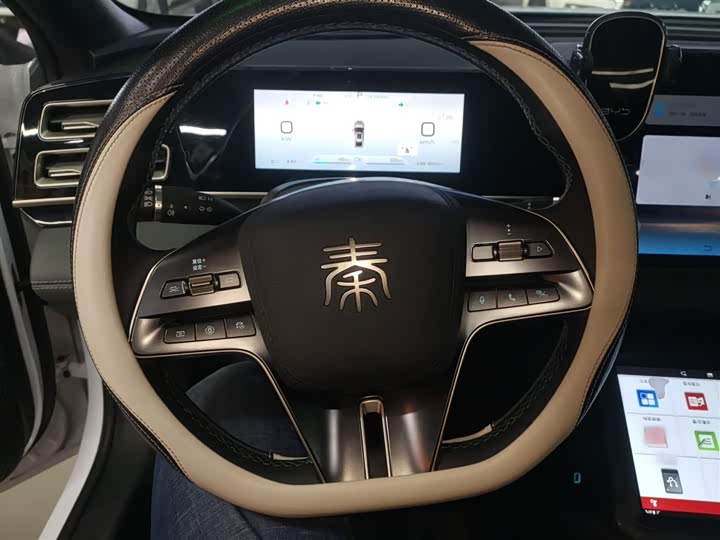 Фото 11 - BYD Qin L