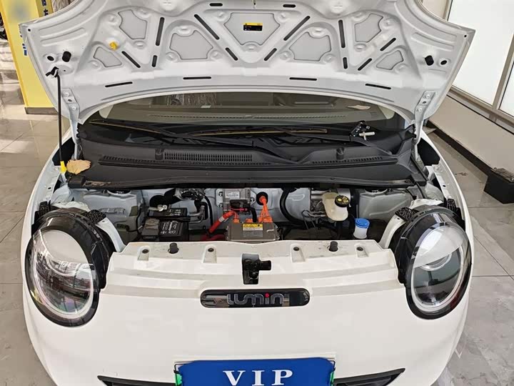 Фото 20 - Changan Qiyuan (Nevo) Lumin