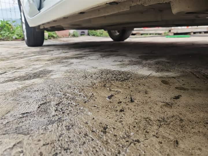 Фото 21 - Chevrolet Onix (Cavalier)