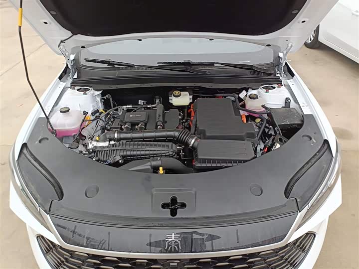 Фото 20 - BYD Qin Plus