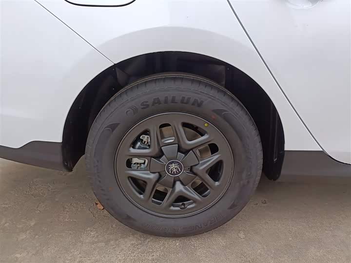 Фото 26 - BYD Qin Plus