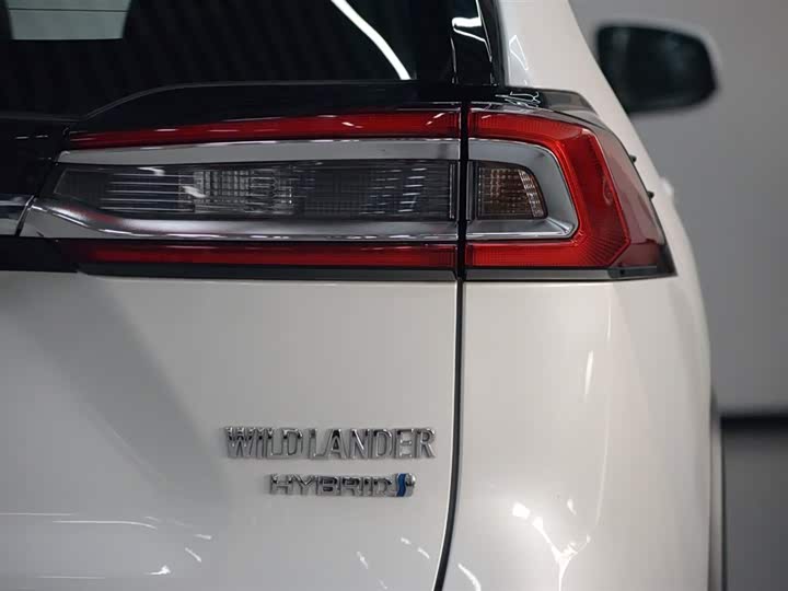 Фото 25 - Toyota Wildlander