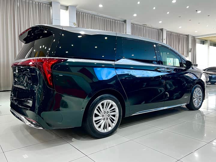 Фото 4 - Buick GL8 Century