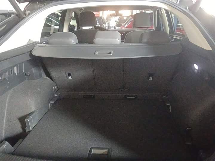 Фото 19 - Volkswagen Tayron X